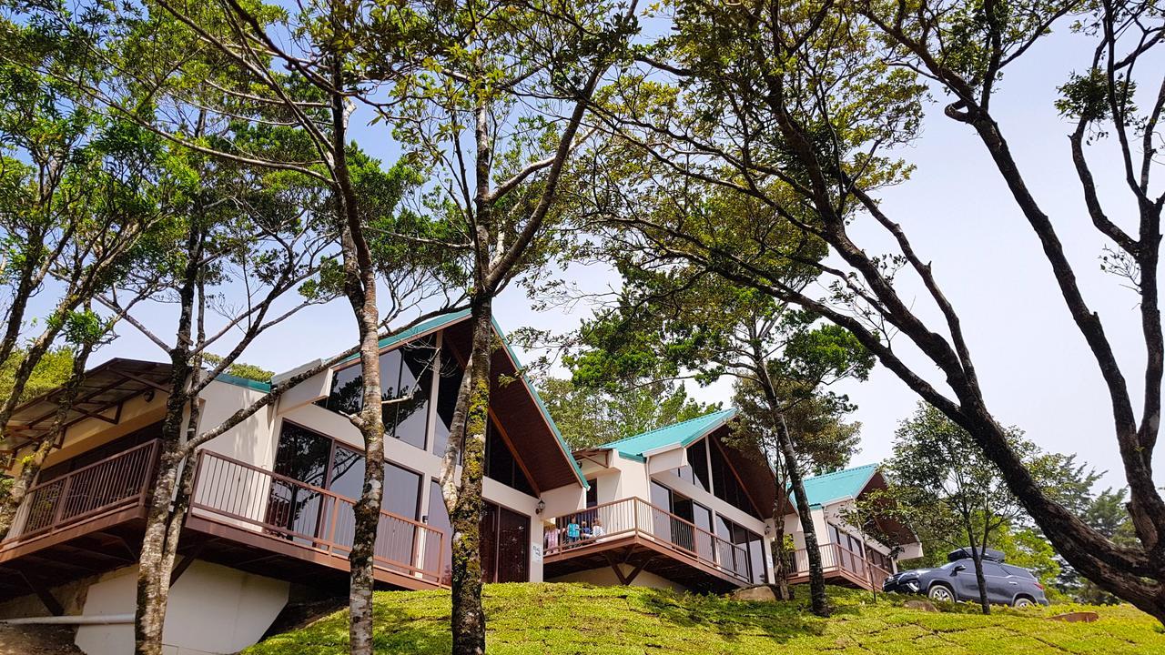 Green Forest Rustic Houses Monteverde Esterno foto
